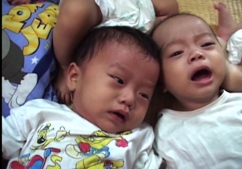 TRUNG TÂM NHÂN ĐẠO QUÊ HƯƠNG ĐÓN NHẬN THÊM THÀNH VIÊN MỚI