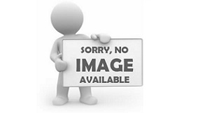 Trung tâm tổ chức cho các em đi chơi biển tại Vũng Tàu